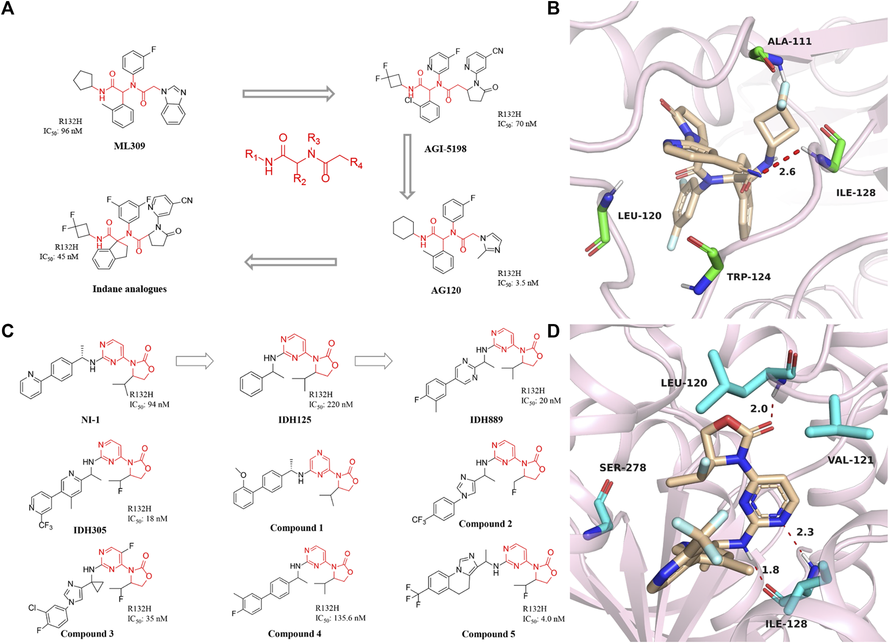 Frontiers | Recent advances of IDH1 mutant inhibitor in cancer therapy