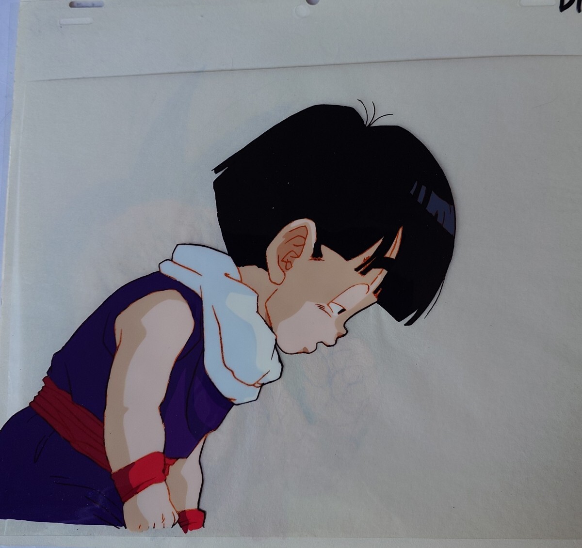 Yahoo!オークション -「(孫悟飯」(セル画) の落札相場・落札価格