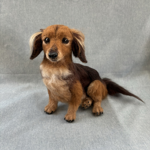 羊毛フェルト【オーダーメイド】うちの子オーダー✴︎犬✴︎愛犬