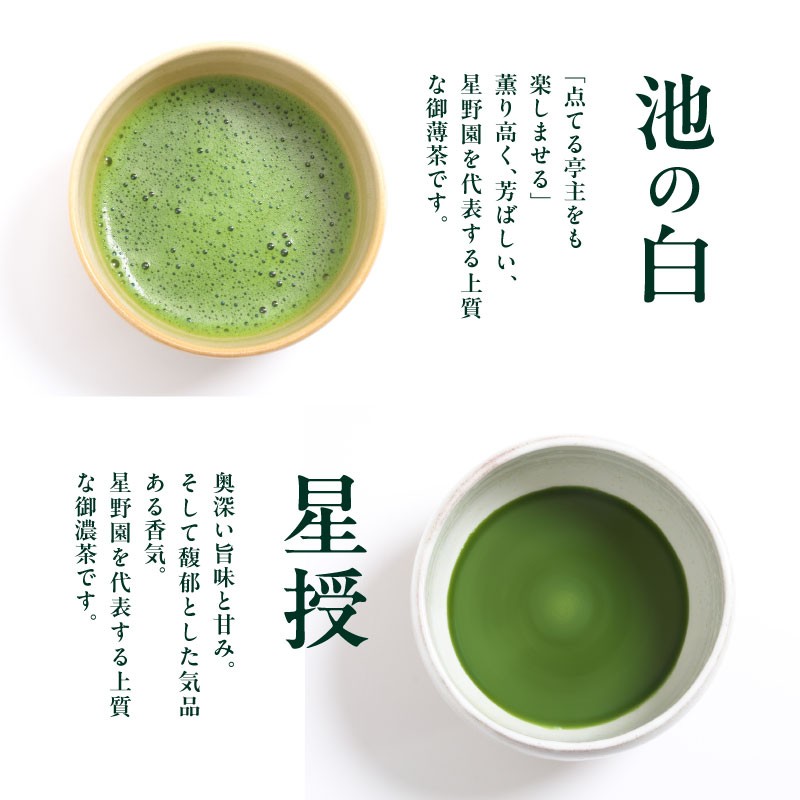 星野抹茶 星授（濃い茶用）・池の白（薄茶用） セット 抹茶 濃い茶