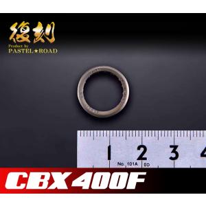CBX400F スネークパーツ テールガード パステルロード 17016