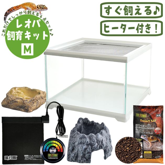レオパ飼育キットM/ケージ ゲージ ガラスケース 飼育セット スターター