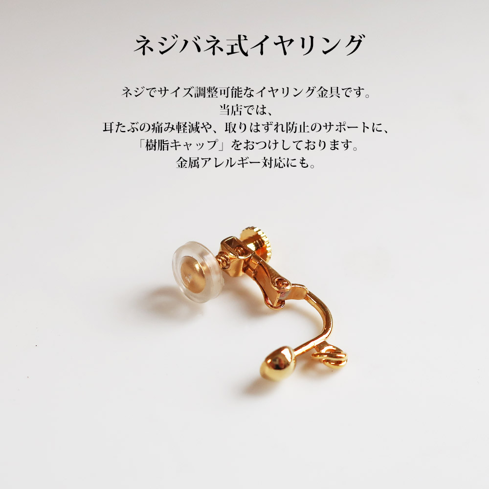 Melody Accessory（メロディーアクセサリー） イヤリング ネジバネ式