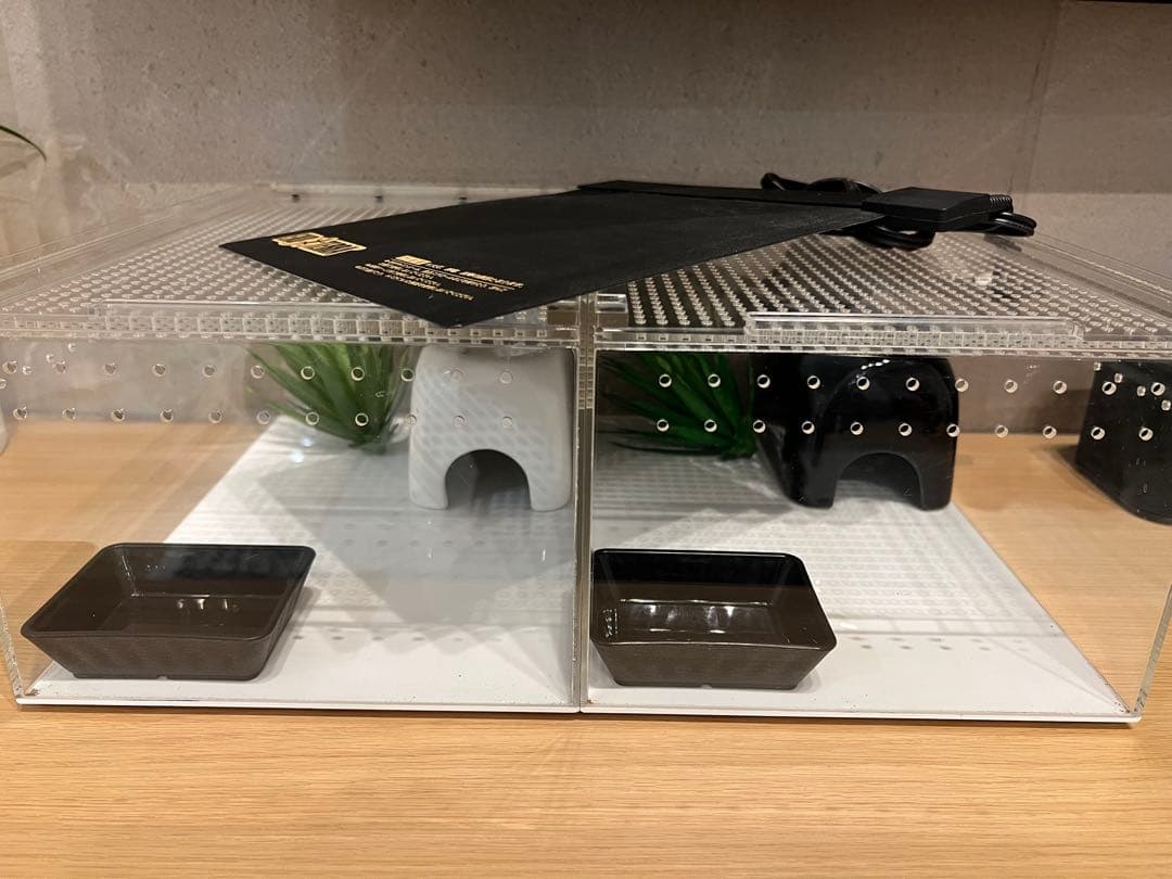 爬虫類飼育セット　2セット　ヒーター付き Amazon | GEX EXOTERRA レプテリア レオパ飼育キットM 爬虫類用ガラス