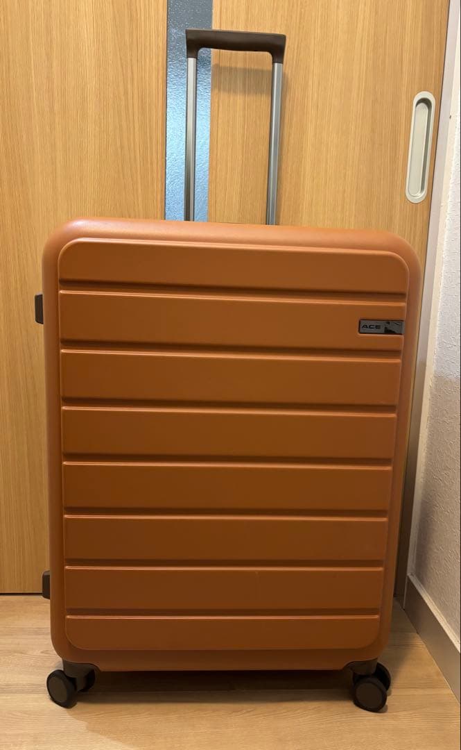 定価の半額‼️【極美品】ACE フレットボード 100L スーツケース Ace（エース） スーツケース フレットボード No.05431 29L 2-3泊 機内